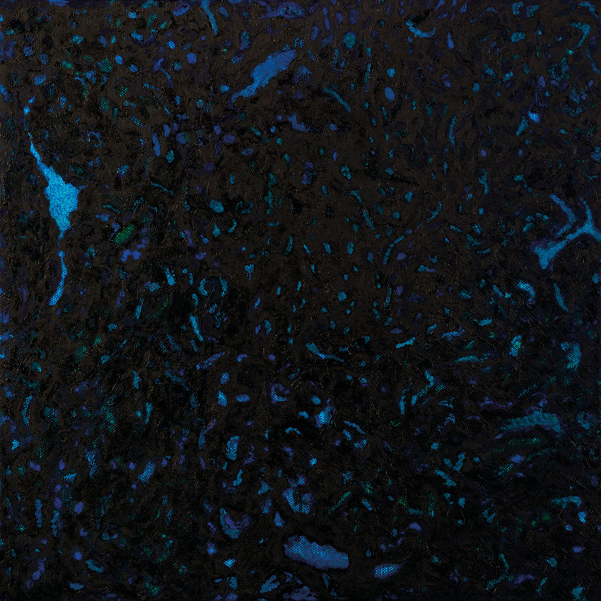 Zenker Brothers – Immersion