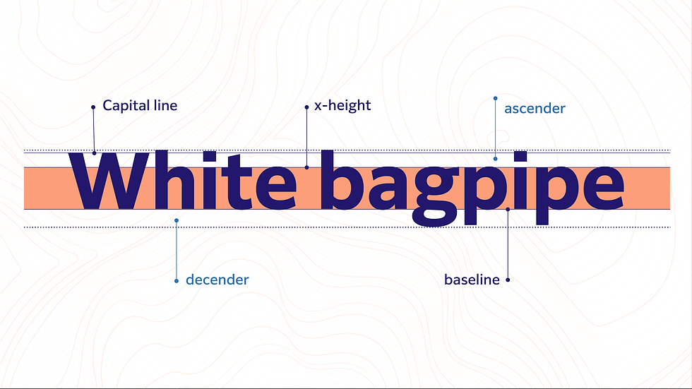 Diagram of Latin text "White bagpipe" showing varying letter widths, ascenders, descenders, x-height, and baseline.