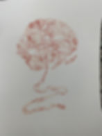 Placenta Print