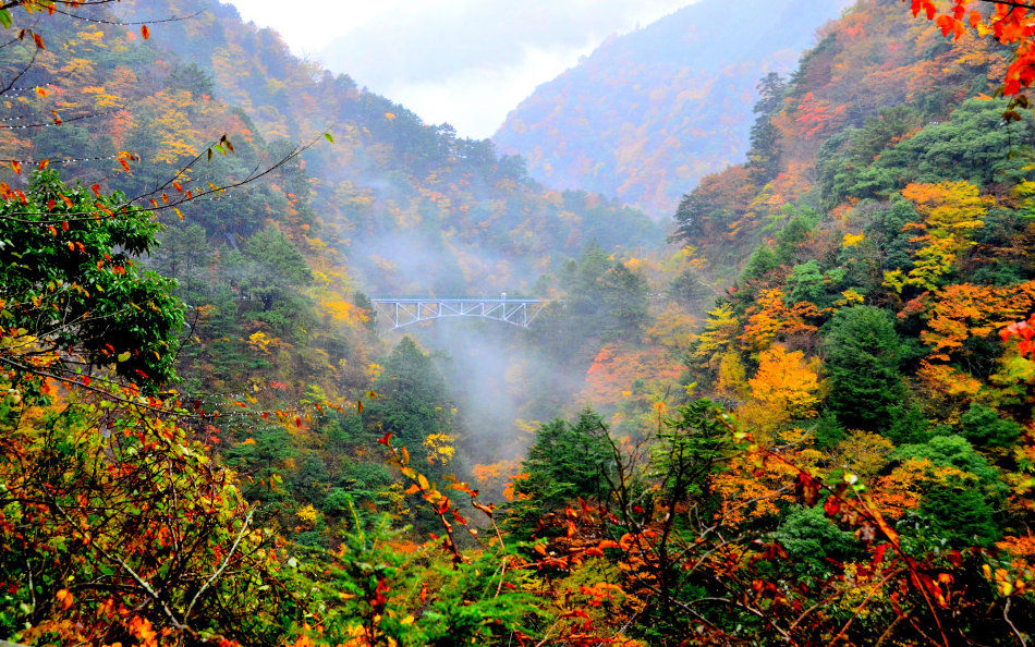 TraveLa | 日本自由行 - 靜岡夢幻溫泉鄉寸又峽溫泉