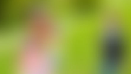 Desenvolvimento da Linguagem e da Comunicação na Infância