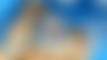 Expanding Your Mind: 5 Reasons Why Young Professionals Should Explore Aristotle's Work