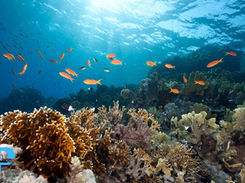 Legend of the Blue Sea, a poem about the deep