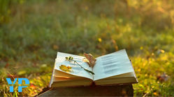 Lumipas man Ang Panahon