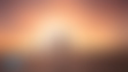 The Unexpected Reunion