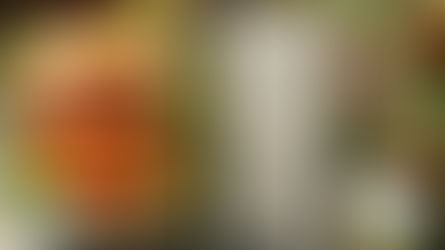 The Overload Burger - Flash Fiction