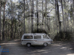 Puting Van