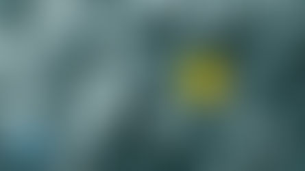 Isang Beses sa Isang Taon