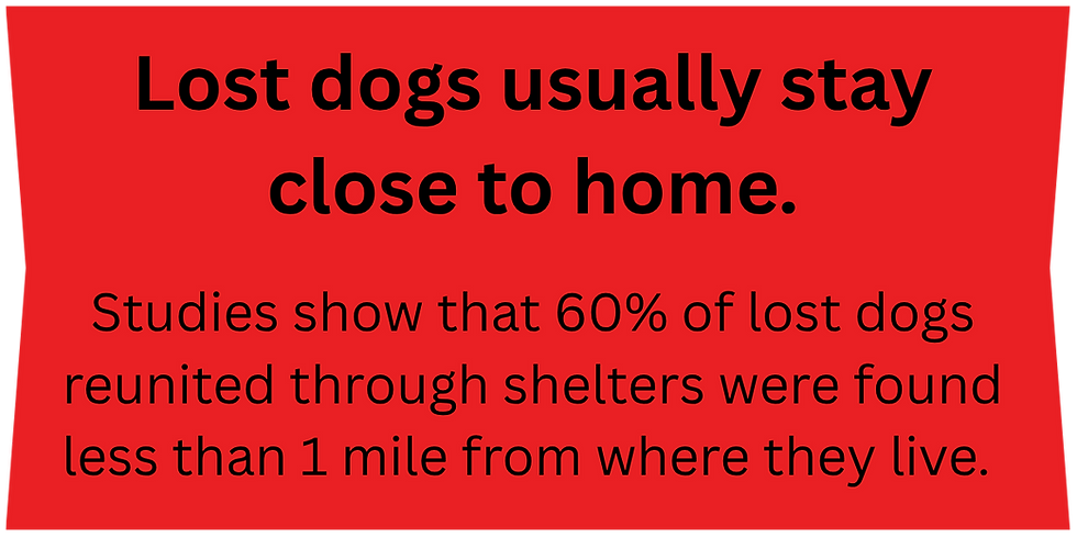 Lost dogs usually stay close to home. Studies show that 60% of lost dogs reunited through