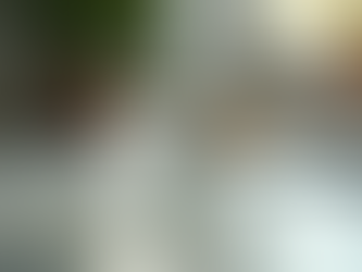 Small Daily Habits That Lead to a Healthier Life