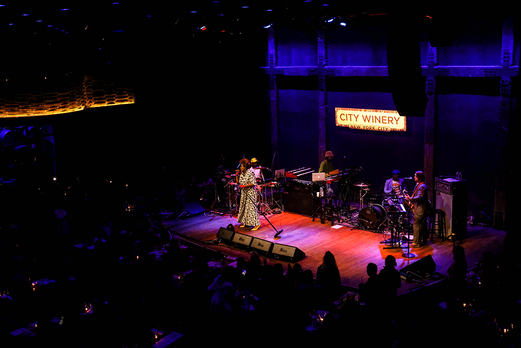 Macy Gray at The City Winery NYC
