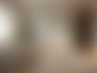 The Importance of High-Quality Images in Real Estate
