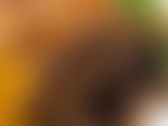 Low Carb Cooking: A Guide to Healthy, Flavorful Meals