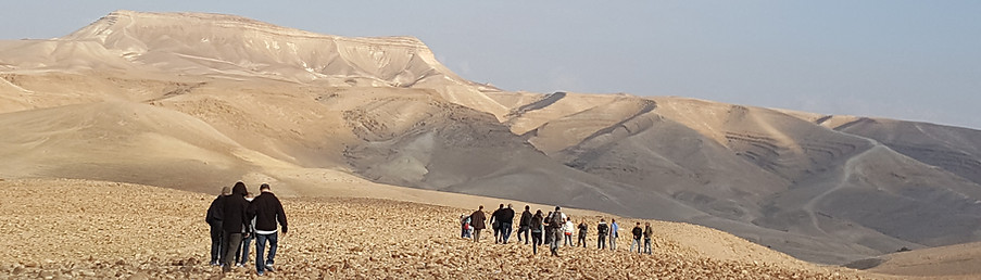 סדנאות שטח