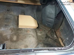 Before Trunk