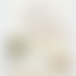 2026年1月 スタジオ風花の催し物