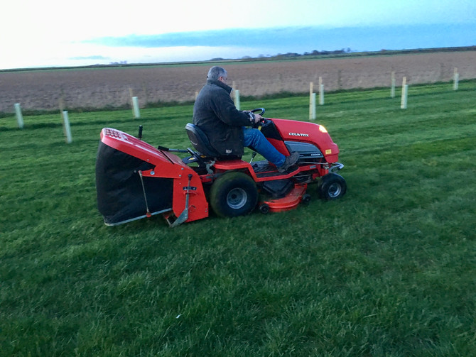 One Man went to Mow.......