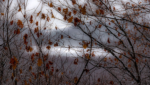 DSC08859-Modifier-Modifier.jpg