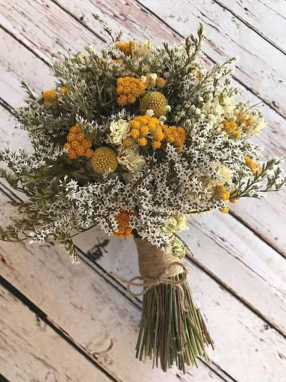 F200222E-4A4A-40C9-BBC4-103B633EB373