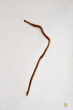 Toni Grand Bois 1977