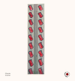 Claude Viallat, peinture