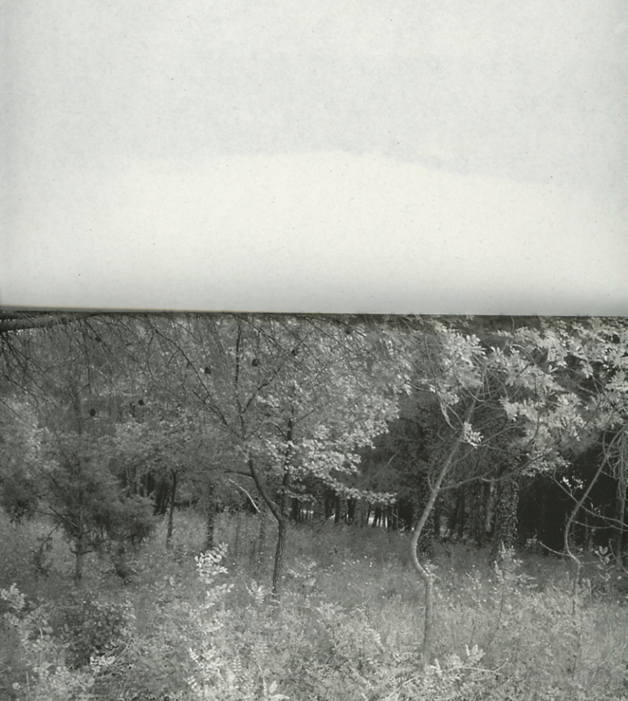 Eric Watier