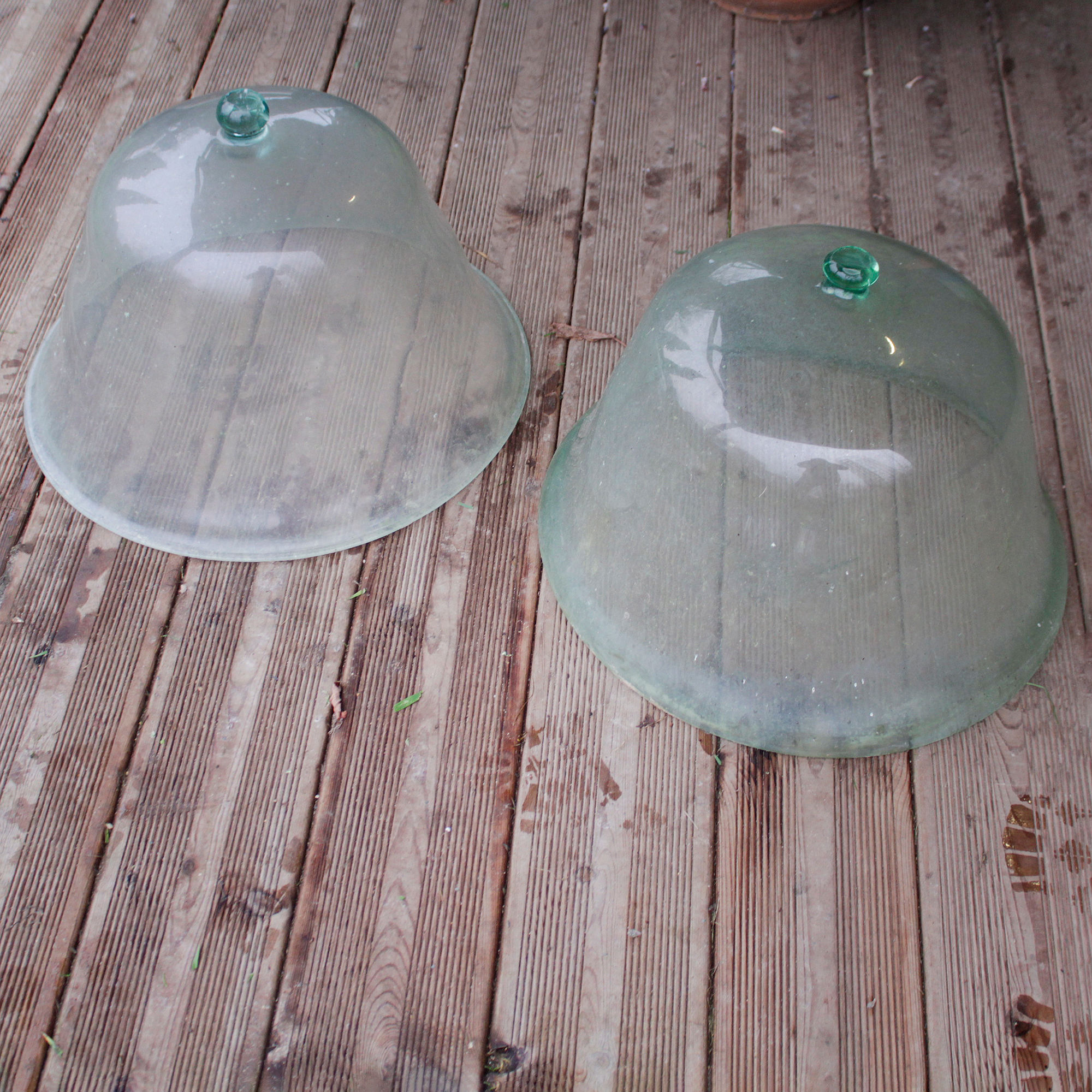 garden cloches cloche de melon
