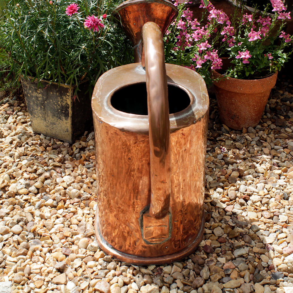 Thumbnail: copper watering can