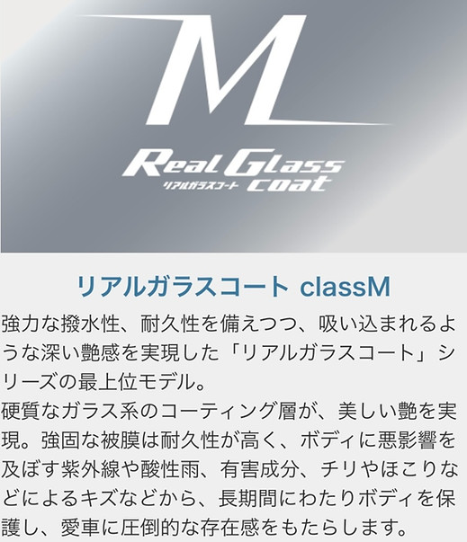 タイプM