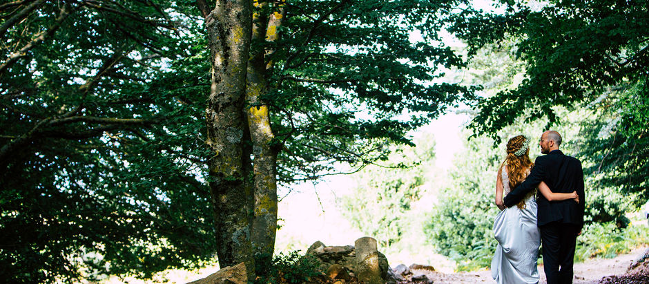 Into the woods