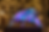 11. Tim Boin Art - Awareness Art.png