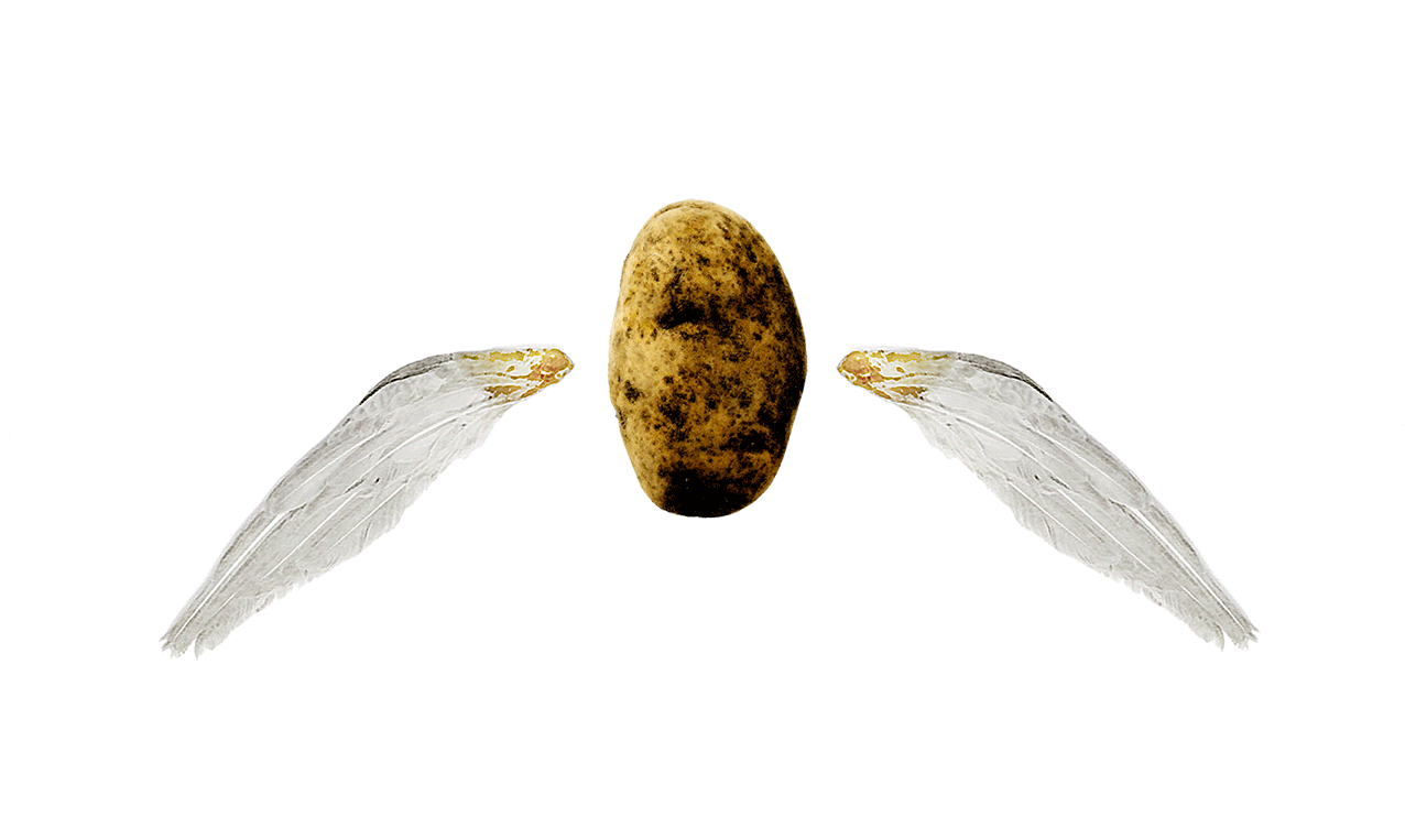kartoffel+Flügel_animation2.gif