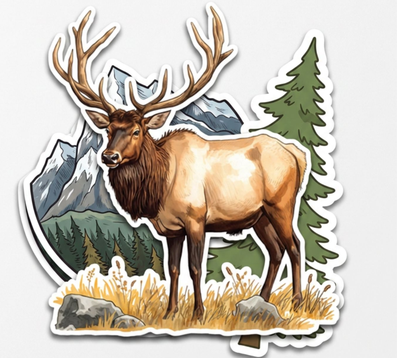 Roosevelt Elk