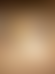 The Fire Horse Year: Reset Your Nervous System & Build Momentum