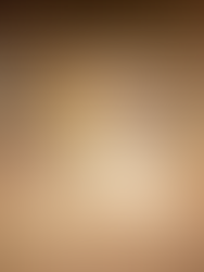 The Fire Horse Year: Reset Your Nervous System & Build Momentum