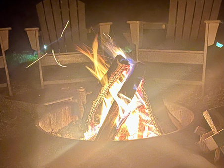 The Fire Horse Year: Reset Your Nervous System & Build Momentum