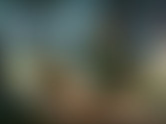 Revisiting Childhood Memories: Robin Hood (1973)