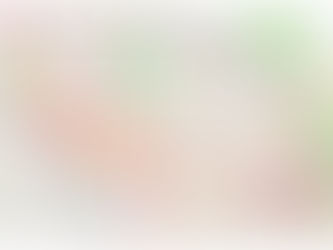 Innovate UK grant awarded to The Future Fox 