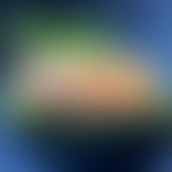 2023. Nuestras mejores experiencias gastronómicas