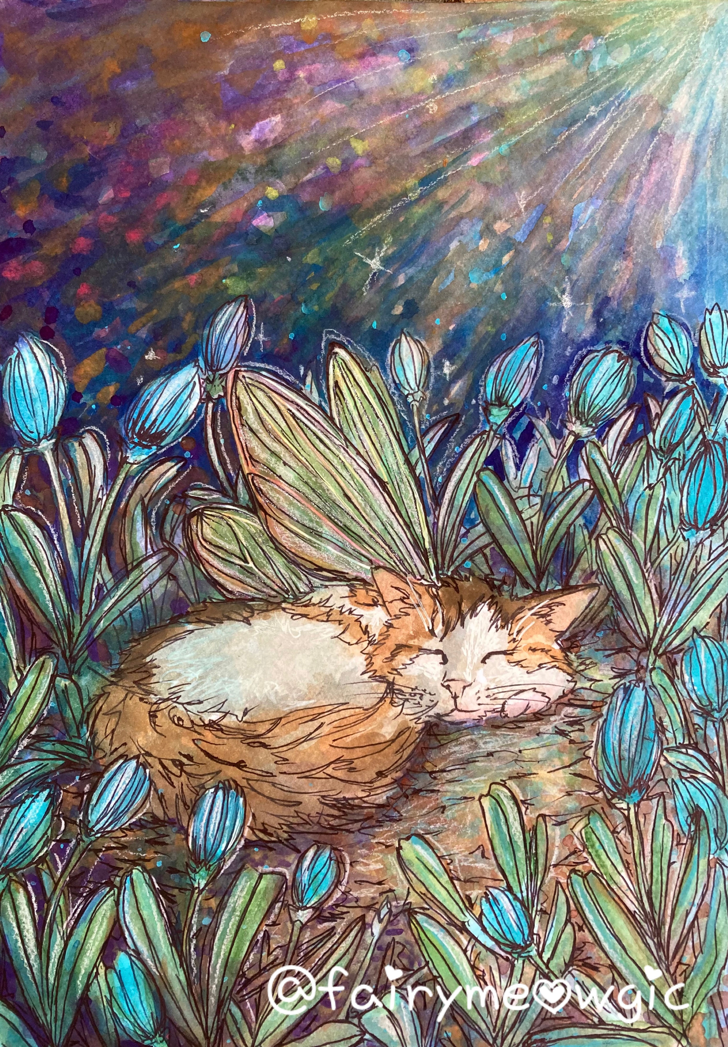 Judy’s Moonlight Garden