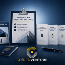 Beyond the Visa Business Plan: Other Immigration Services Your Petition May Need