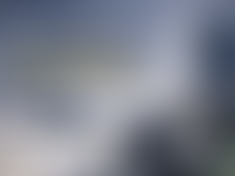 The U.S. Aviation Labor Market in 2026: Aviation Immigration Implications