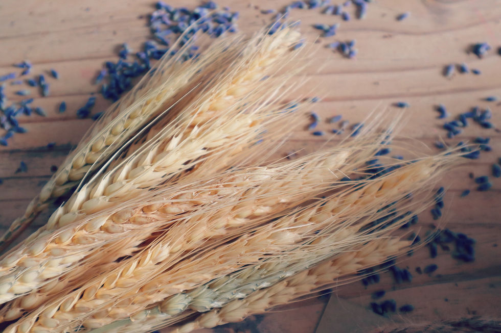 Thumbnail: MAGIC WREATH