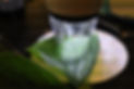 1686312126325.jpeg