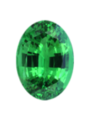 tsavorite_compact.png