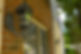 pic2.jpg