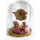 Miniature : Diodon dans son bocal