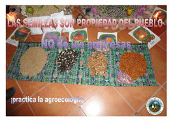 tarjetas3