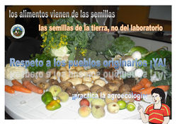 tarjetas 2