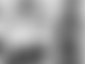 Return to Play Questionnaire